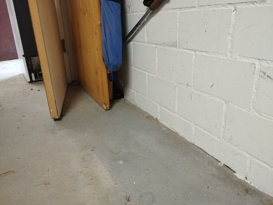 anti nuisibles a-St. Niklaus-Beratung.jpg