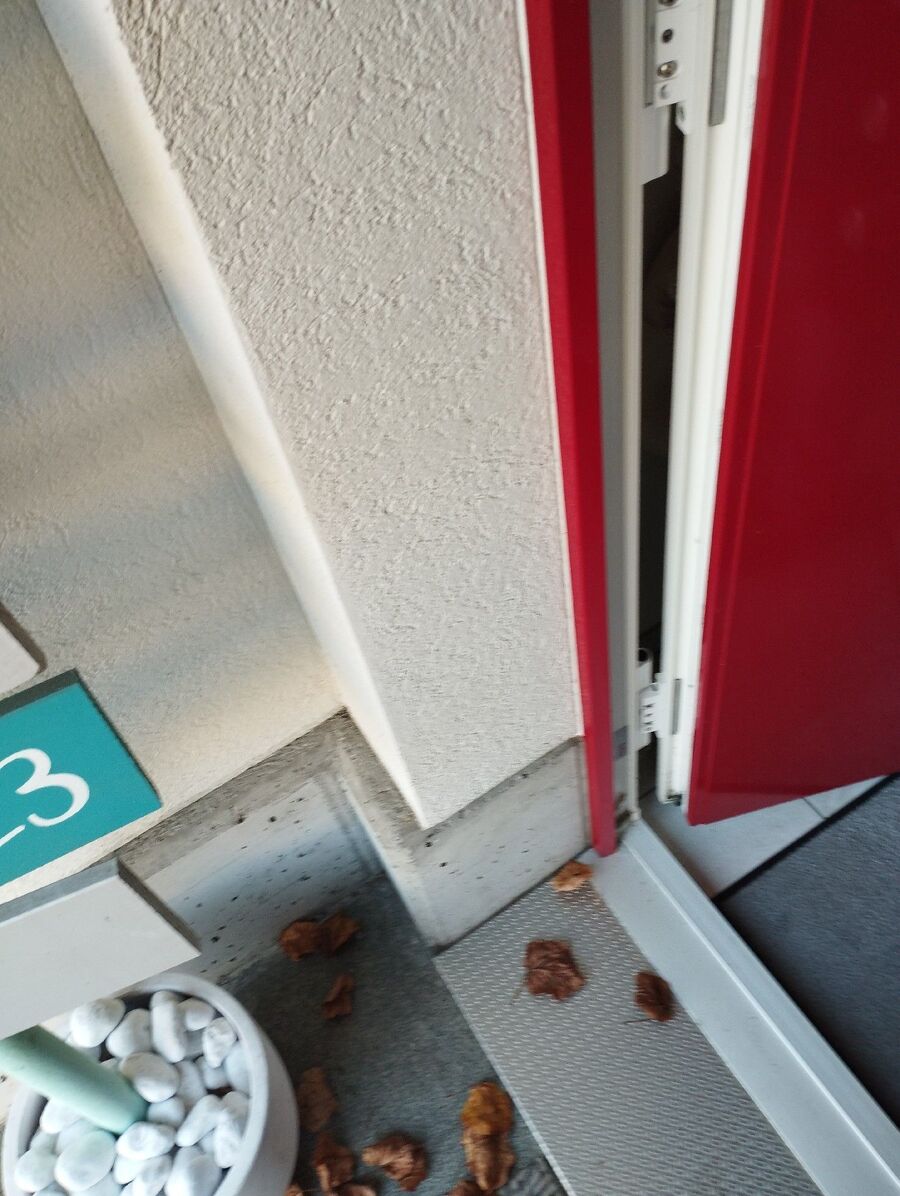 anti nuisibles a-Le Mont-sur-Lausanne-Beratung.jpg