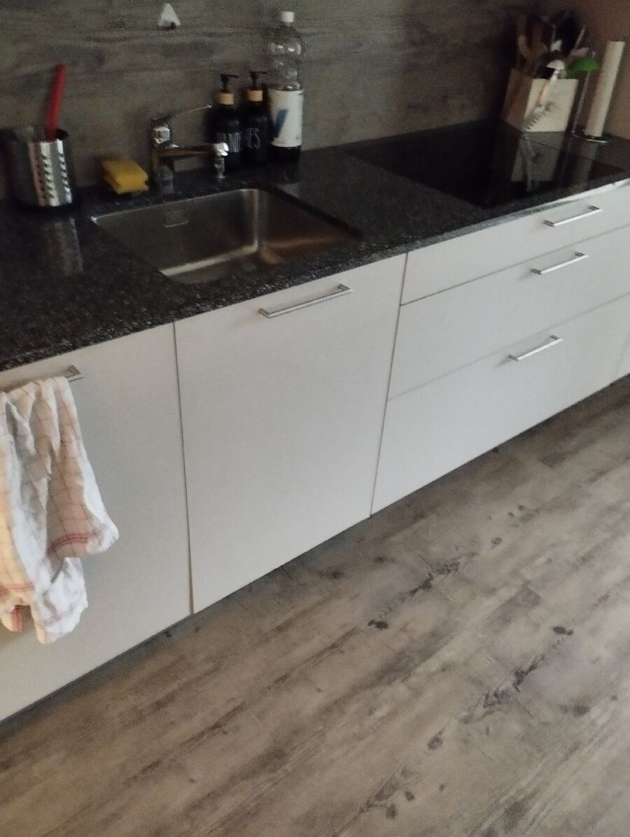 anti nuisibles a-Leysin-Beratung.jpg