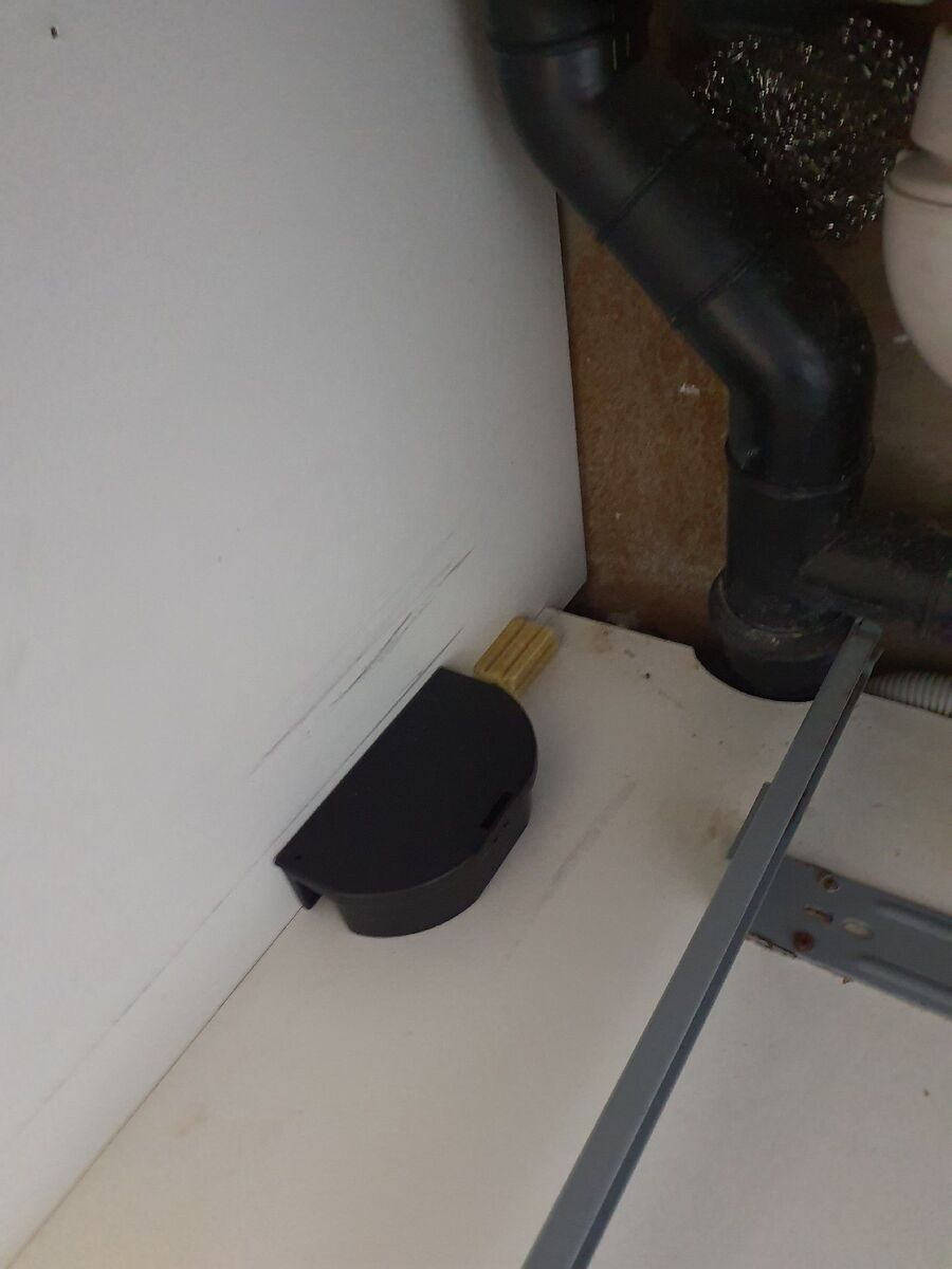 anti nuisibles a--Beratung (227).jpeg