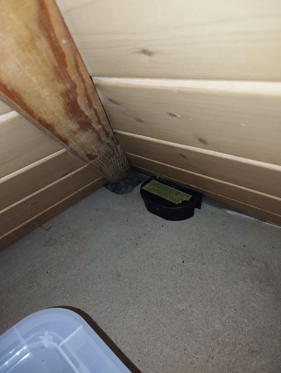 anti nuisibles a-Plaffeien-Beratung.jpg