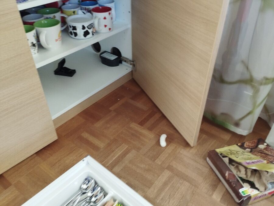 anti nuisibles a-Lucens-Beratung.jpg