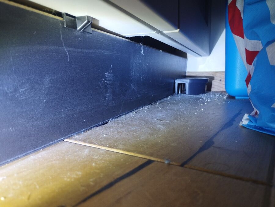 anti nuisibles a-Vérossaz-Beratung.jpg