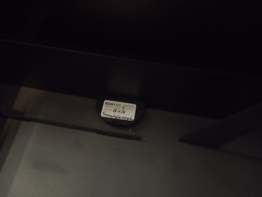 anti nuisibles a-Saint-Blaise-Beratung.jpg