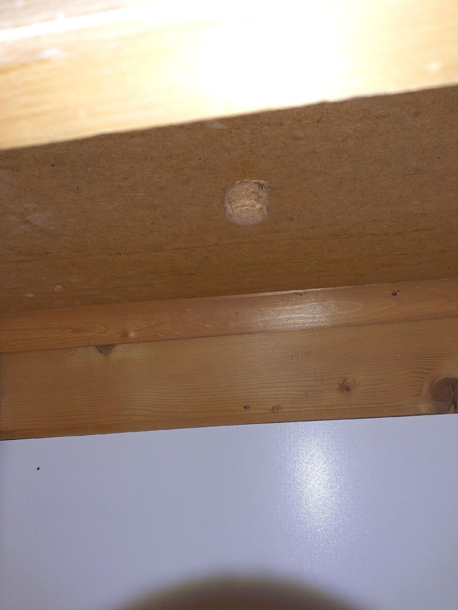 anti nuisibles a-Zeneggen-Beratung.jpg