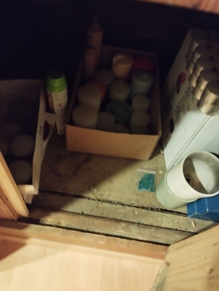 anti nuisibles a-Zwischbergen-Beratung.jpg