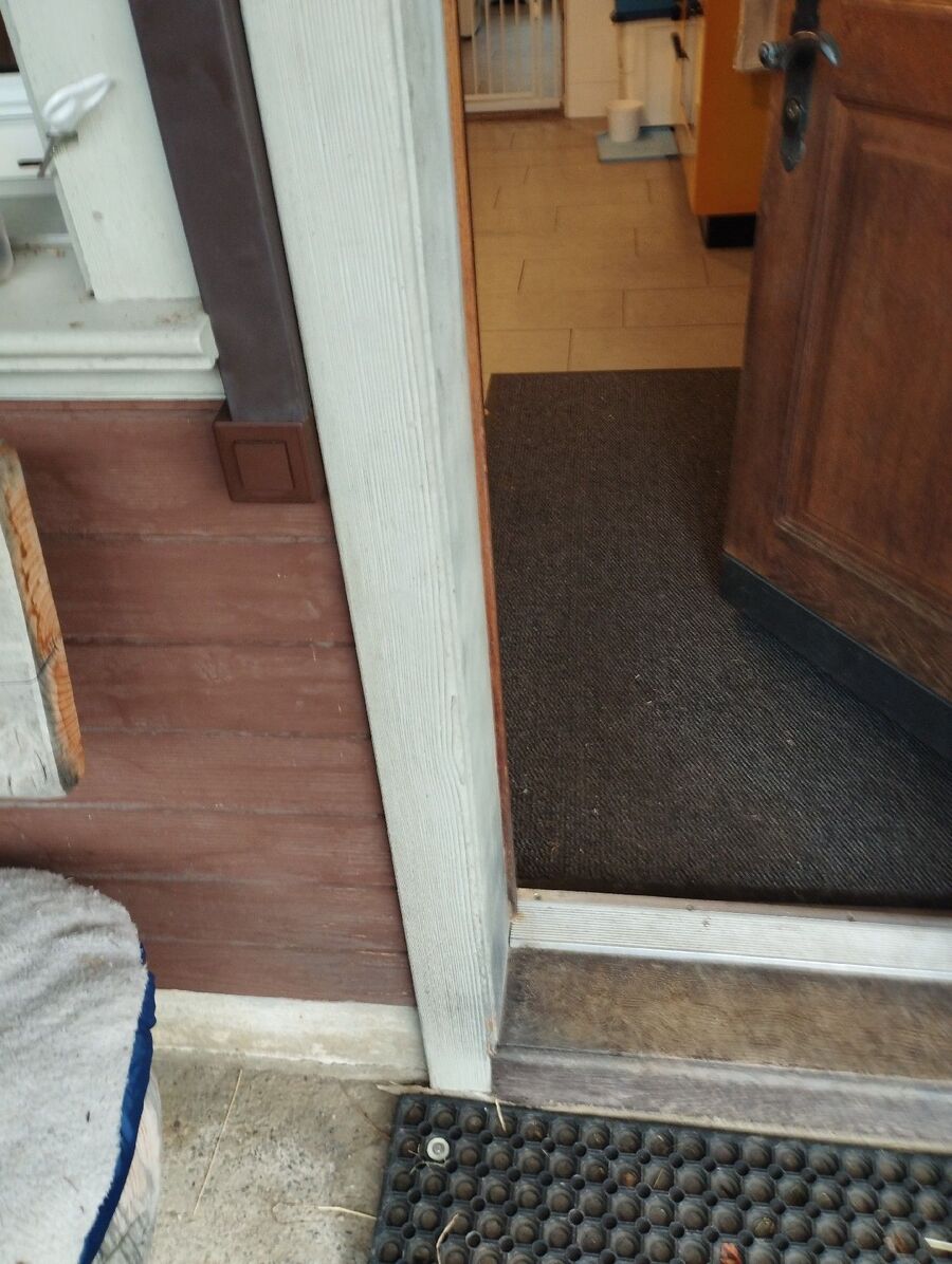 anti nuisibles a-Auboranges-Beratung.jpg