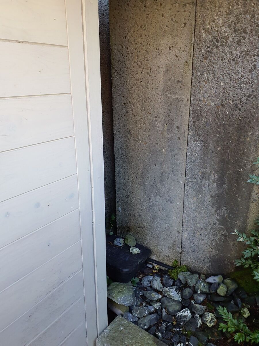 anti nuisibles a-Mollens (VD)-Beratung.jpg