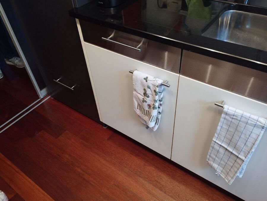 anti nuisibles a-Avry-Beratung.jpg