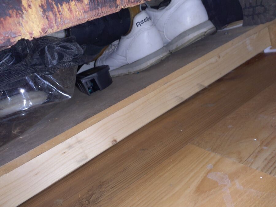 anti nuisibles a-Bas-Intyamon-Beratung.jpg