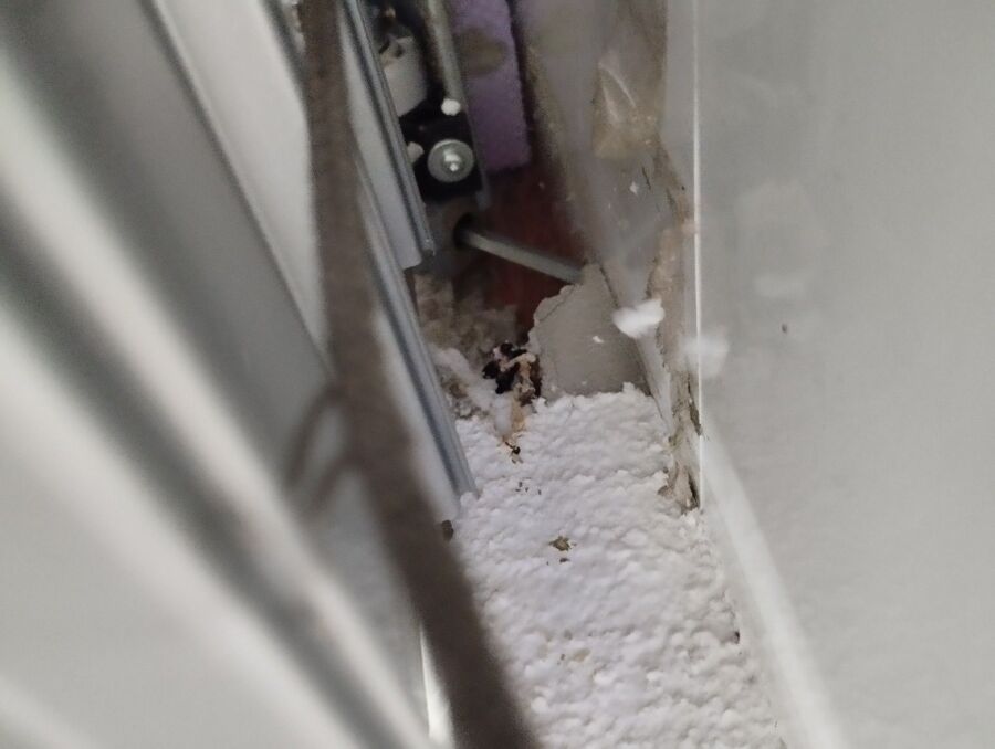 anti nuisibles a-Mont-la-Ville-Beratung.jpg