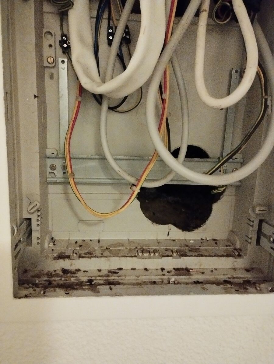 anti nuisibles a-Montricher-Beratung.jpg