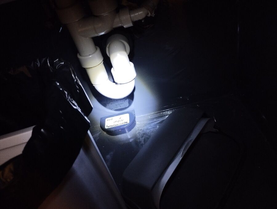 anti nuisibles a-Ponthaux-Beratung.jpg