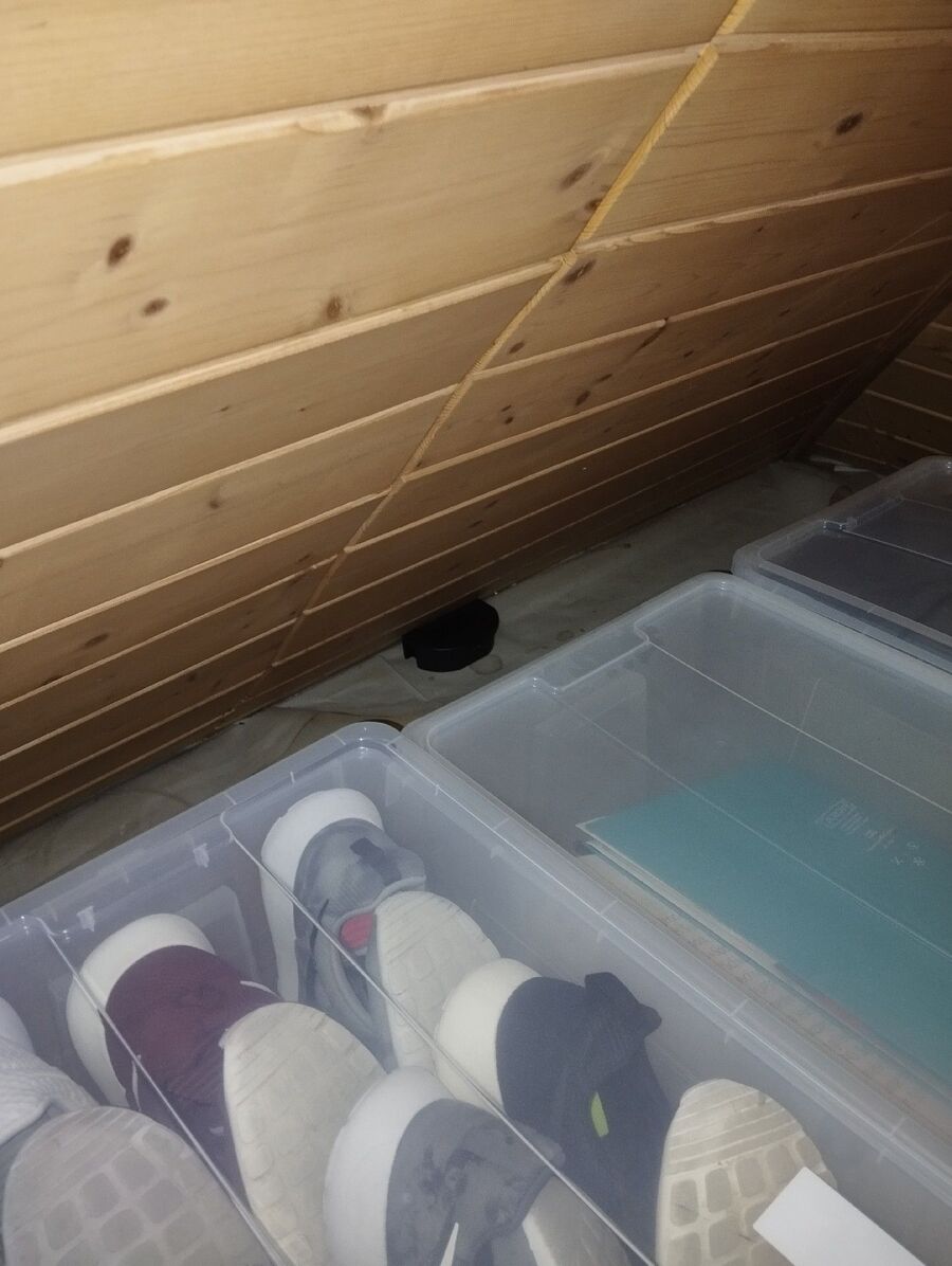 anti nuisibles a-Chapelle (Glâne)-Beratung.jpg