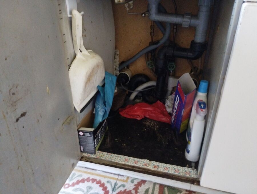 anti nuisibles a-Novalles-Beratung.jpg