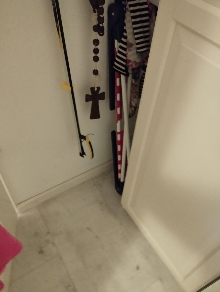 anti nuisibles a-Ogens-Beratung.jpg