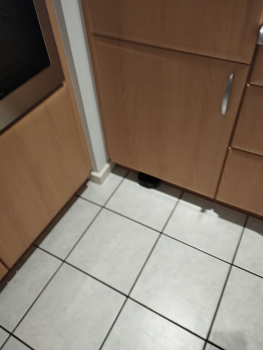 anti nuisibles a-Onnens (VD)-Beratung.jpg