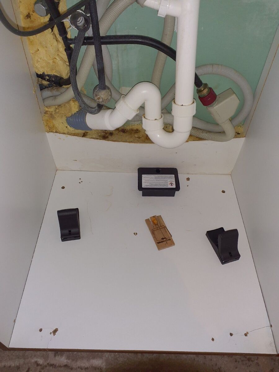 anti nuisibles a-Courtepin-Beratung.jpg