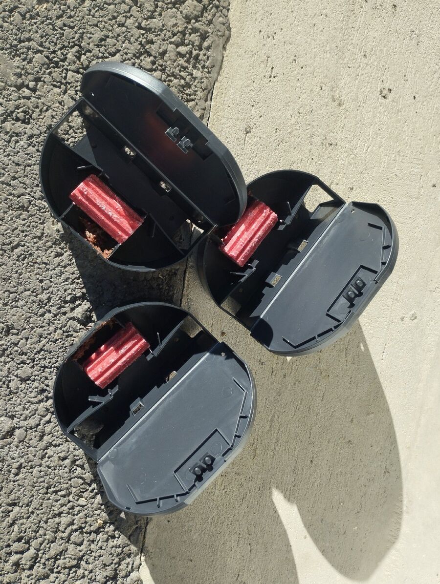 anti nuisibles a-Ormont-Dessous-Beratung.jpg