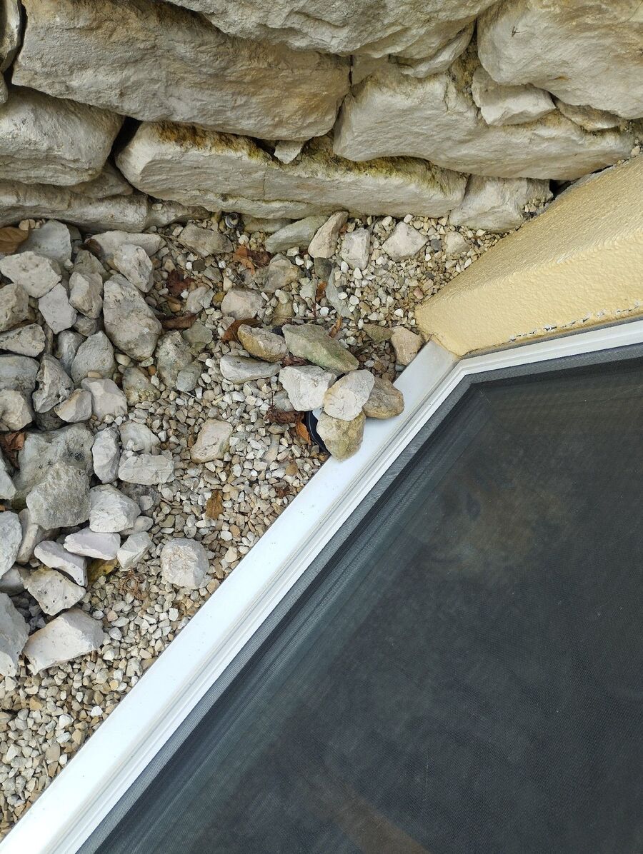 anti nuisibles a-Ormont-Dessus-Beratung.jpg