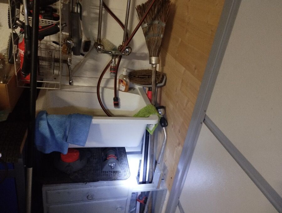 anti nuisibles a-Delley-Portalban-Beratung.jpg