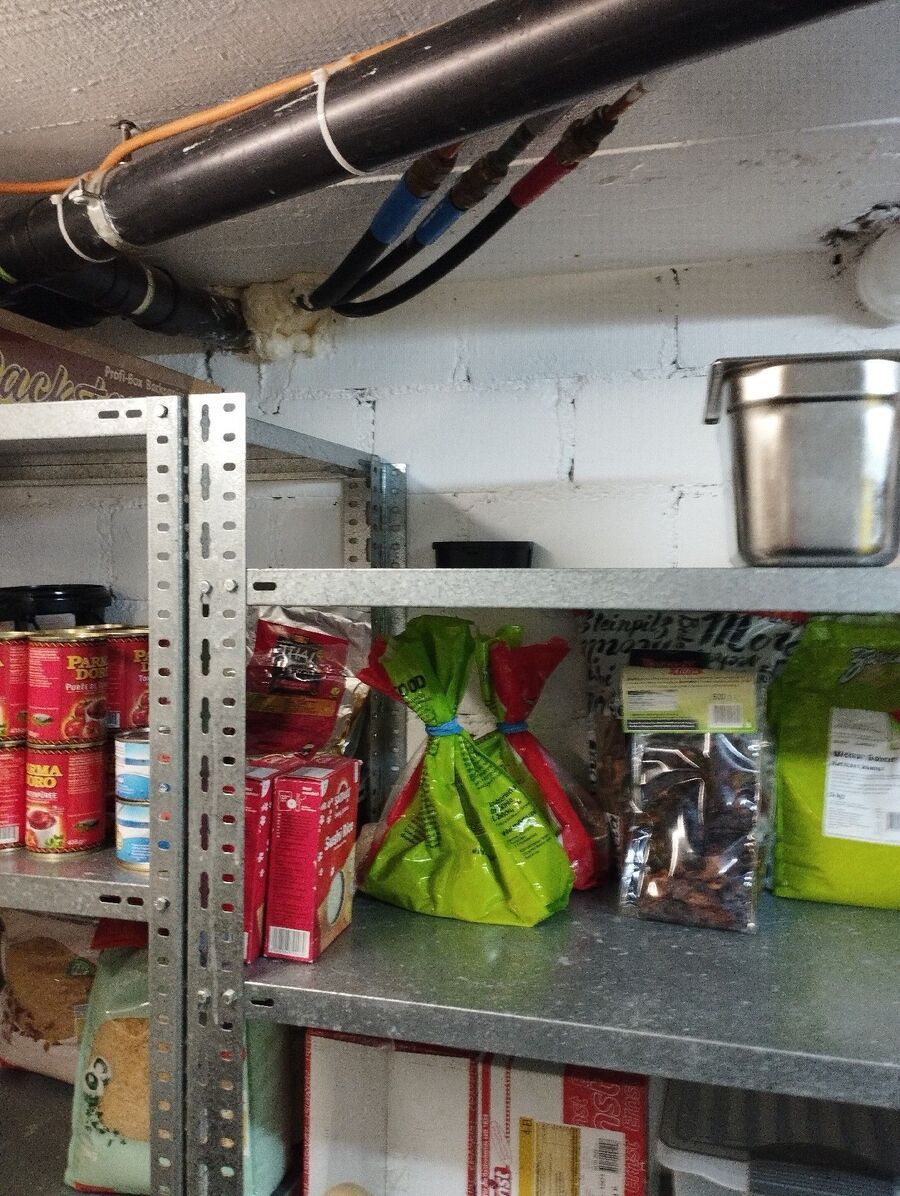 anti nuisibles a-Oron-Beratung.jpg