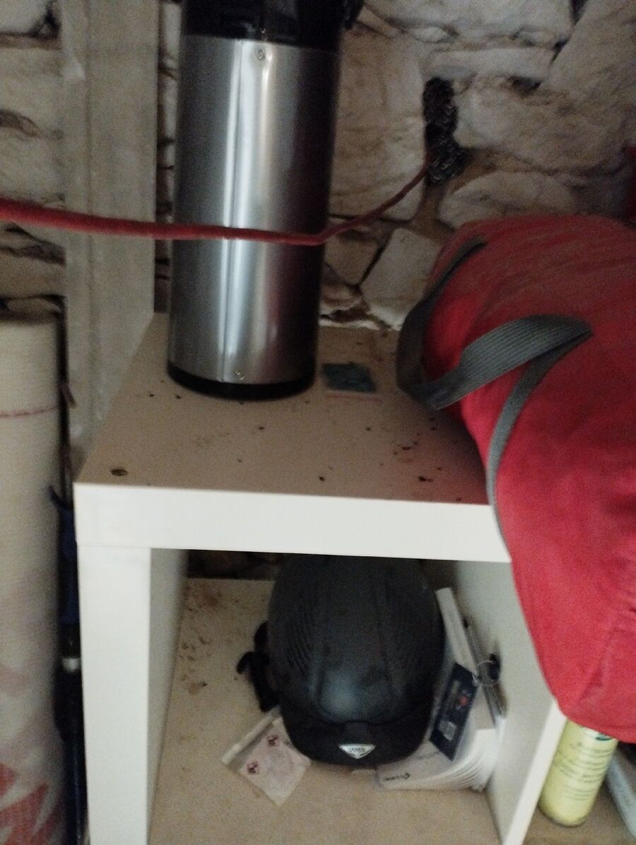 anti nuisibles a-Echarlens-Beratung.jpg