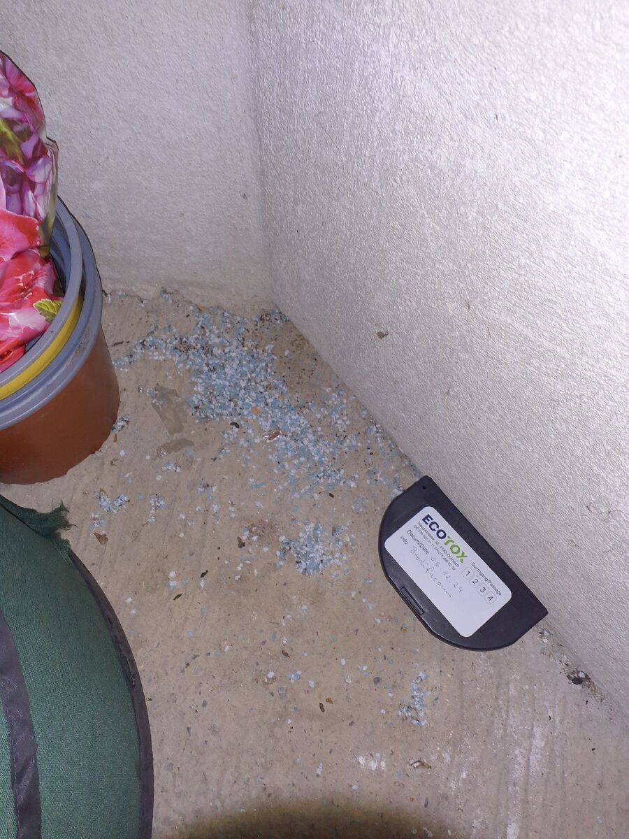 anti nuisibles a-Orzens-Beratung.jpg