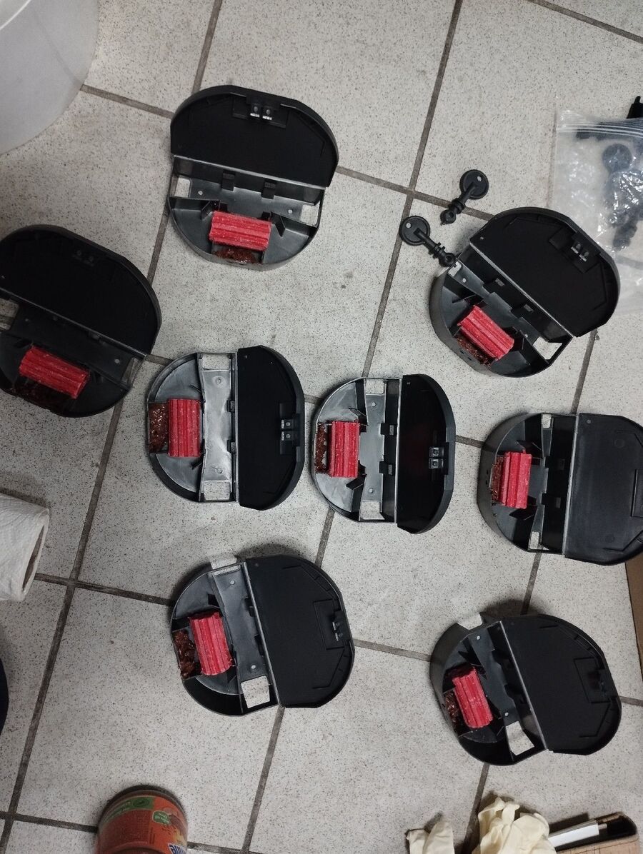 anti nuisibles a-Fétigny-Beratung.jpg