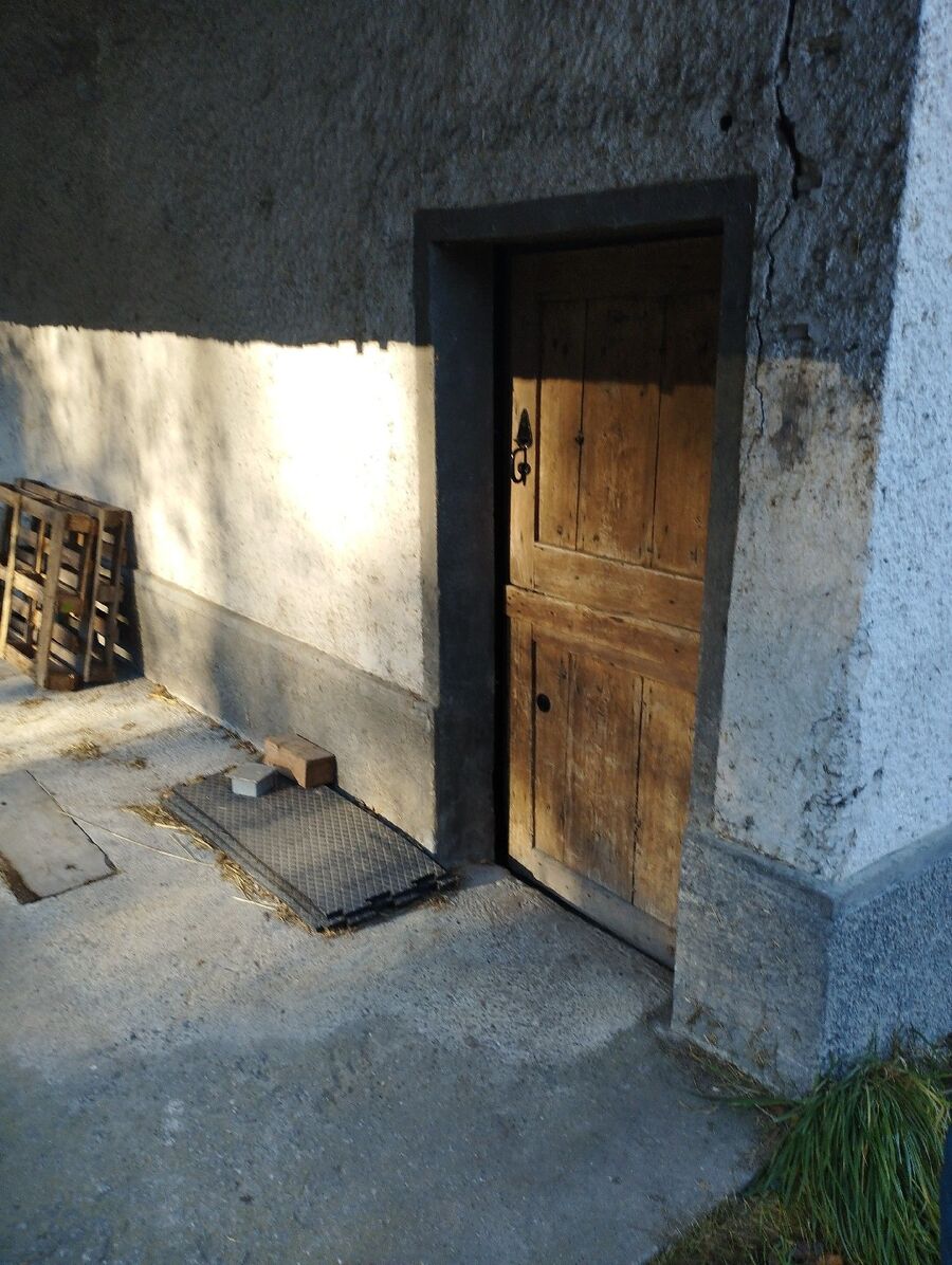 anti nuisibles a-Fräschels-Beratung.jpg