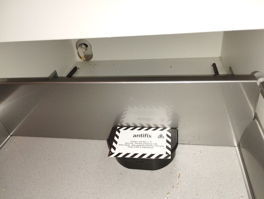 anti nuisibles a-Gibloux-Beratung.jpg