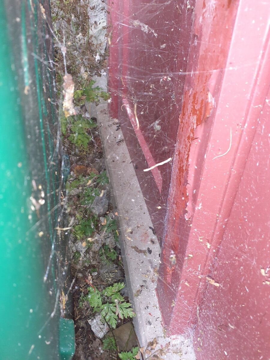 anti nuisibles a-Givisiez-Beratung.jpg