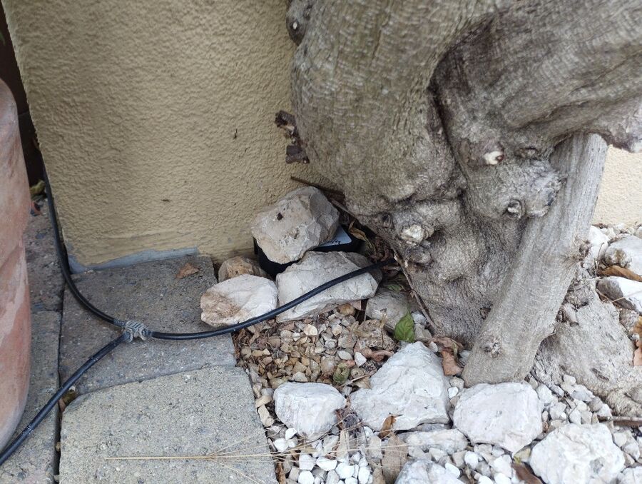 anti nuisibles a-Avully-Beratung.jpg