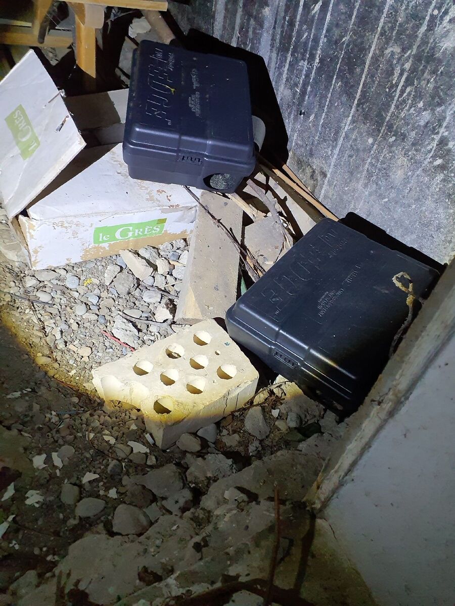 anti nuisibles a-Granges-Paccot-Beratung.jpg