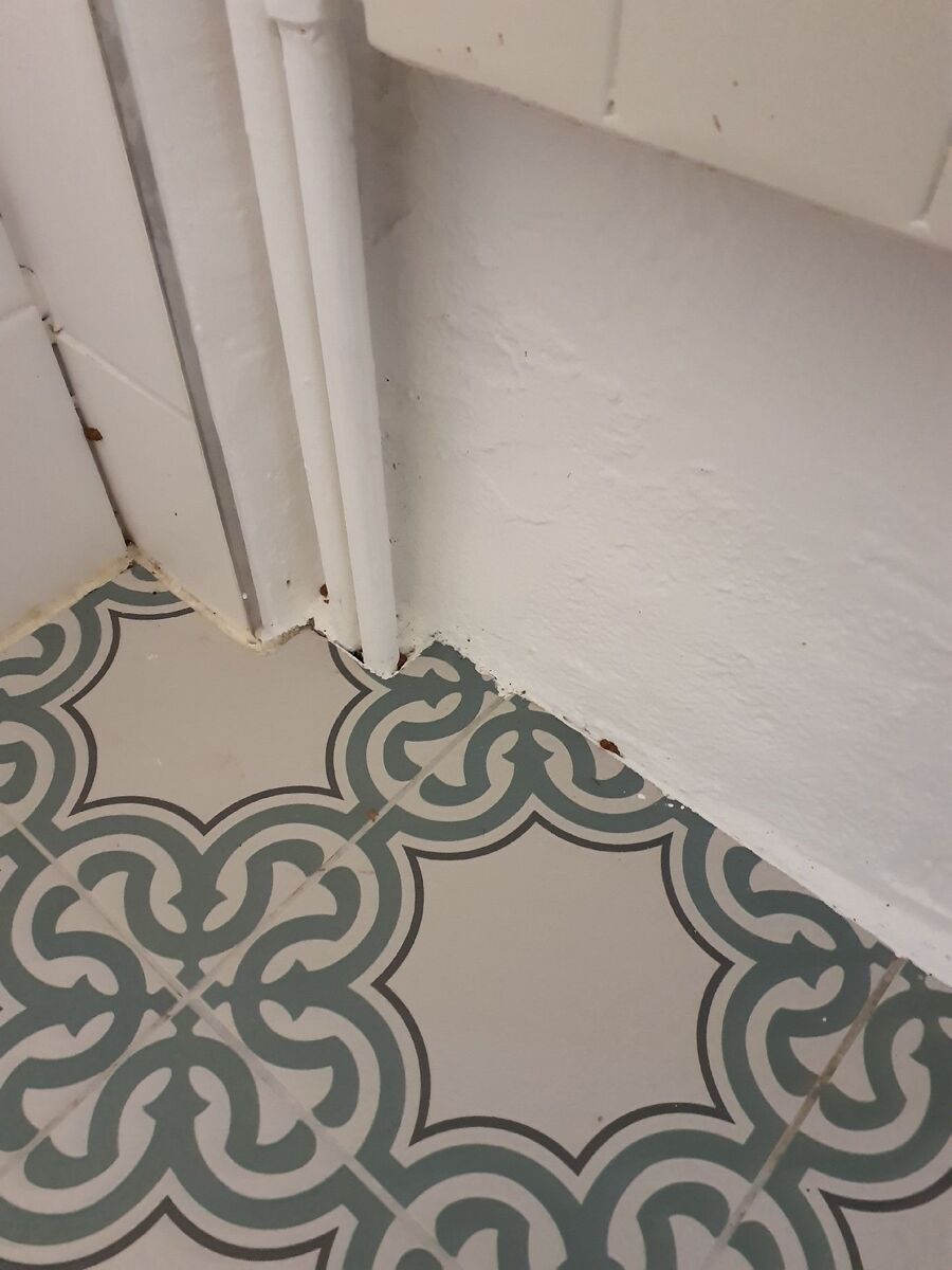 anti nuisibles a-Pomy-Beratung.jpg