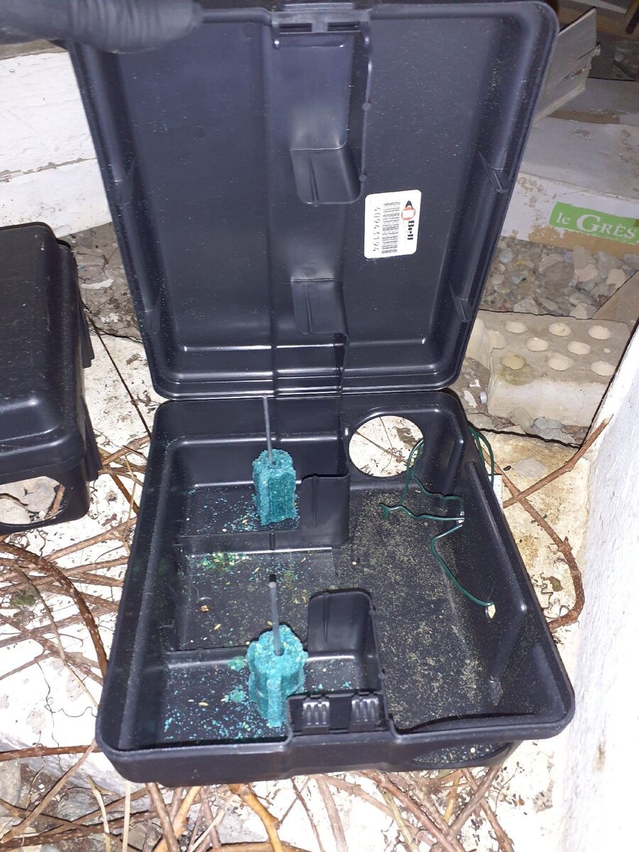 anti nuisibles a-Greng-Beratung.jpg