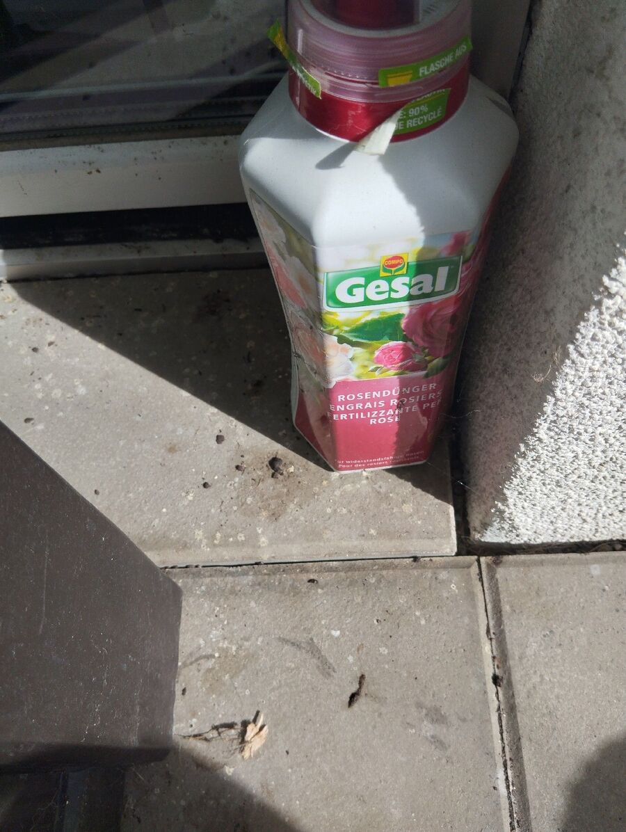anti nuisibles a-Grolley-Beratung.jpg