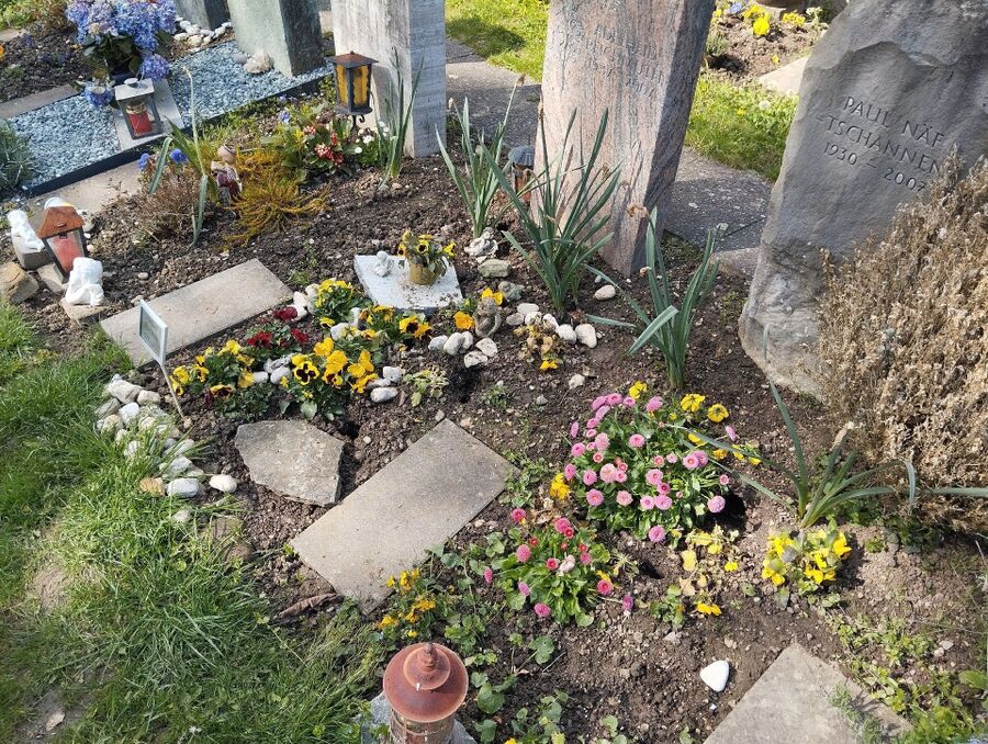 anti nuisibles a-Premier-Beratung.jpg