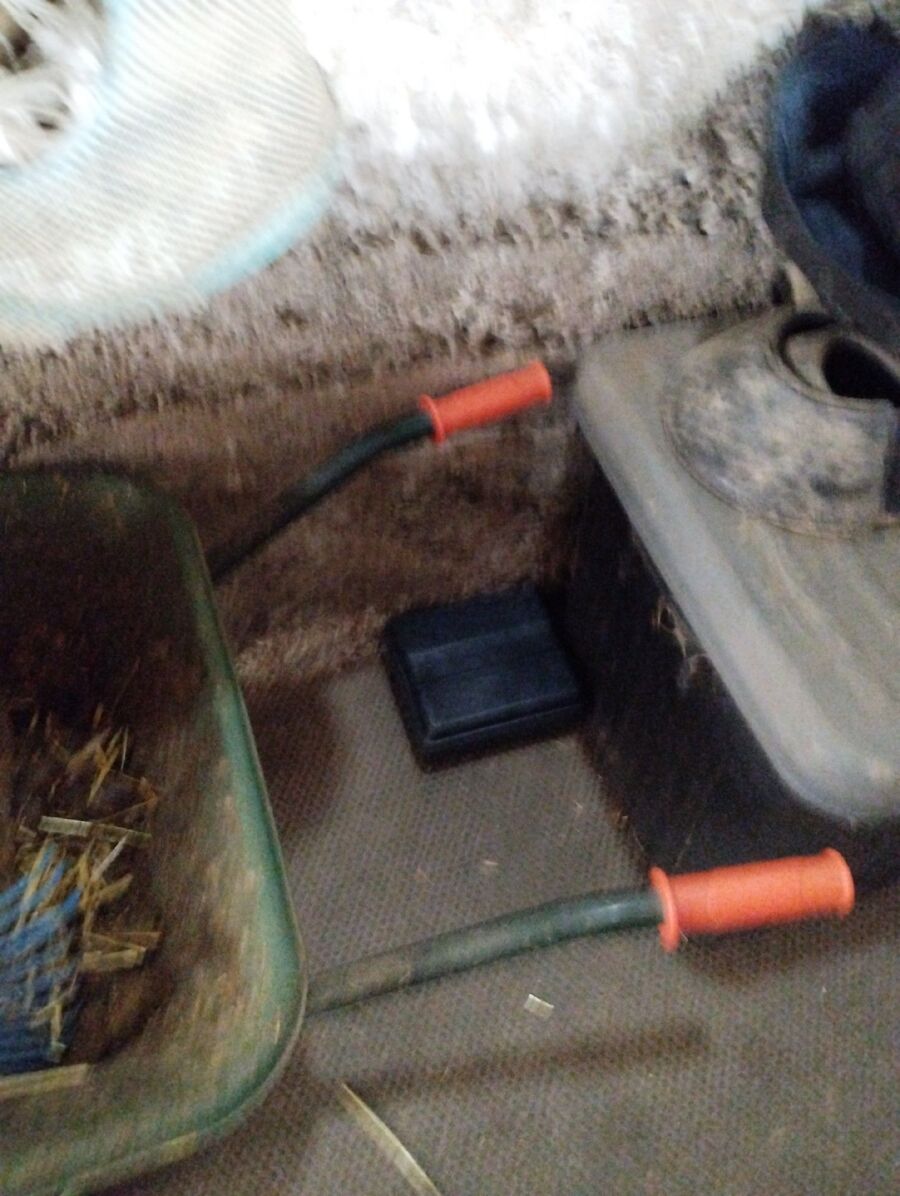 anti nuisibles a-Hauterive (FR)-Beratung.jpg