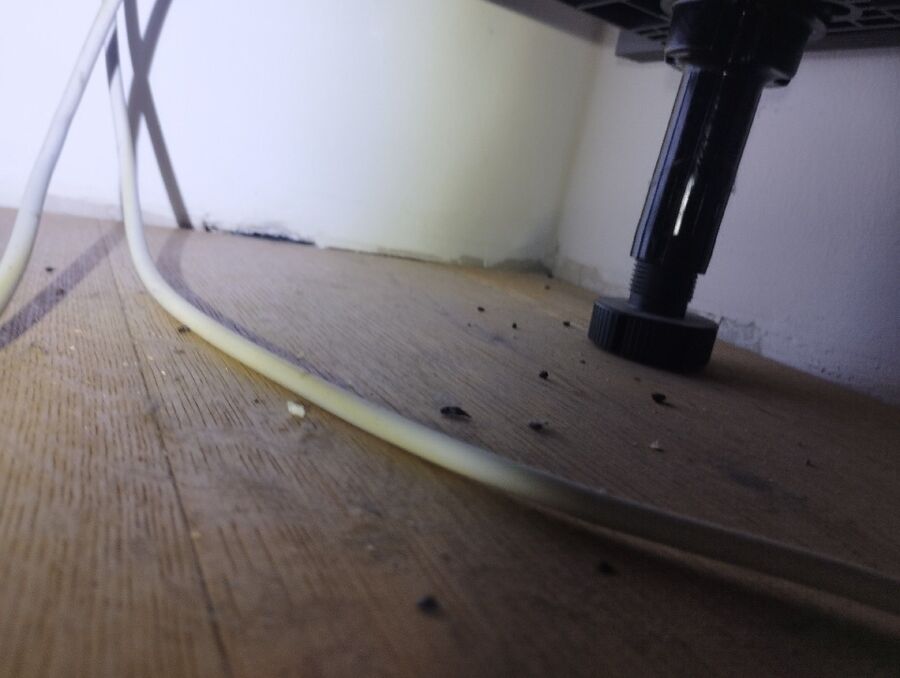 anti nuisibles a-Cortaillod-Beratung.jpg