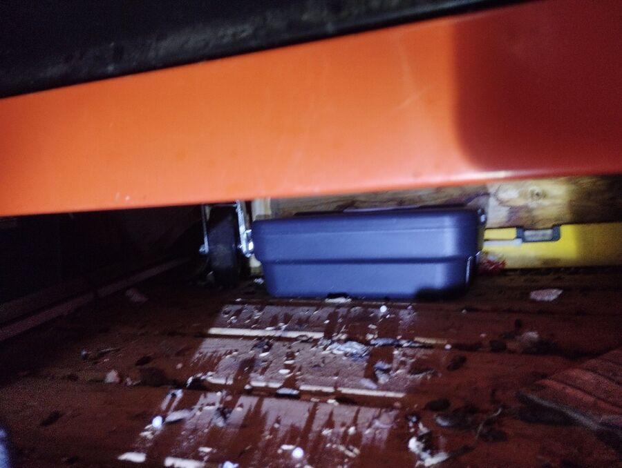 anti nuisibles a-Haut-Intyamon-Beratung.jpg