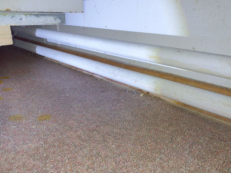 anti nuisibles a-La Brillaz-Beratung.jpg