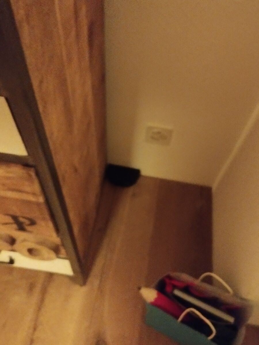 anti nuisibles a-La Roche-Beratung.jpg