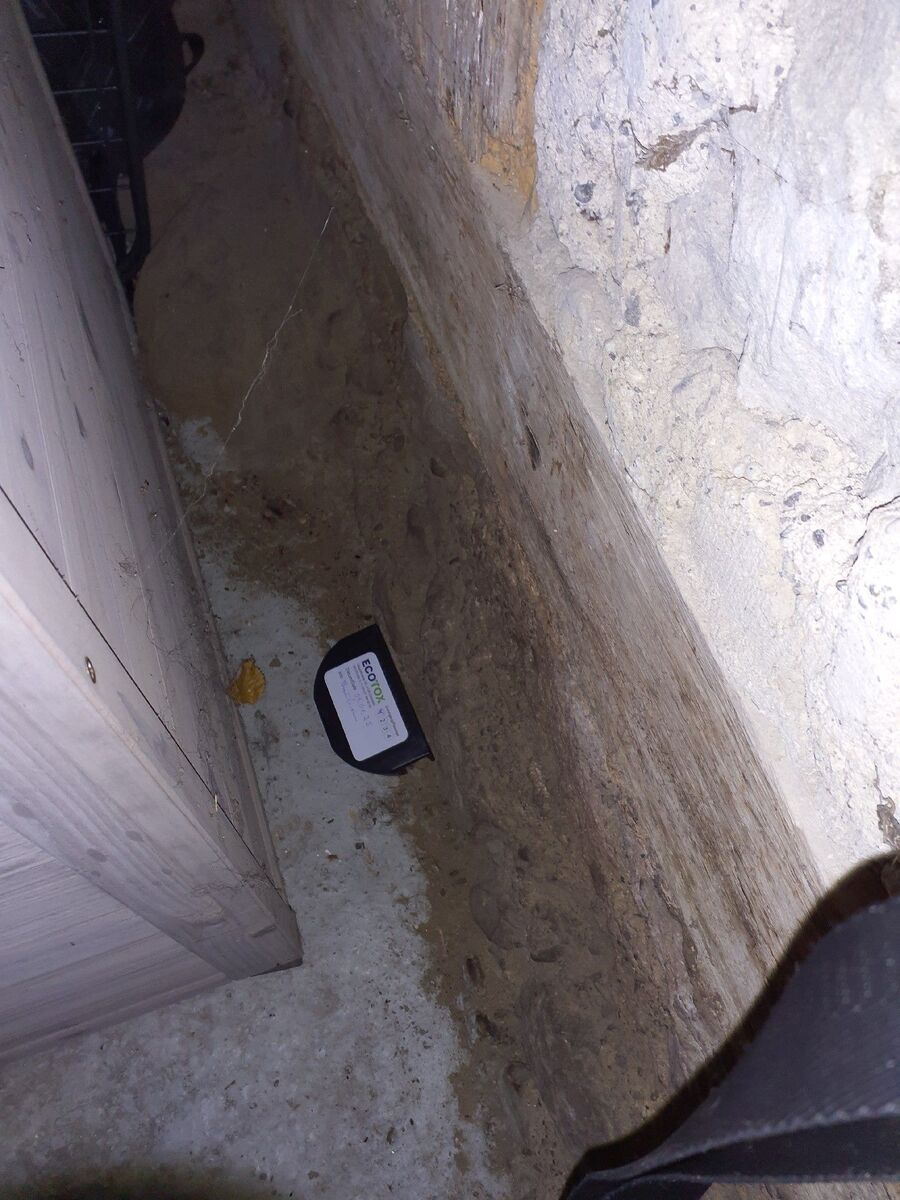 anti nuisibles a-La Sonnaz-Beratung.jpg