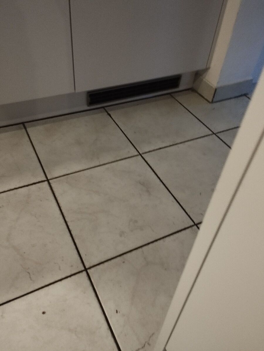 anti nuisibles a-Suscévaz-Beratung.jpg