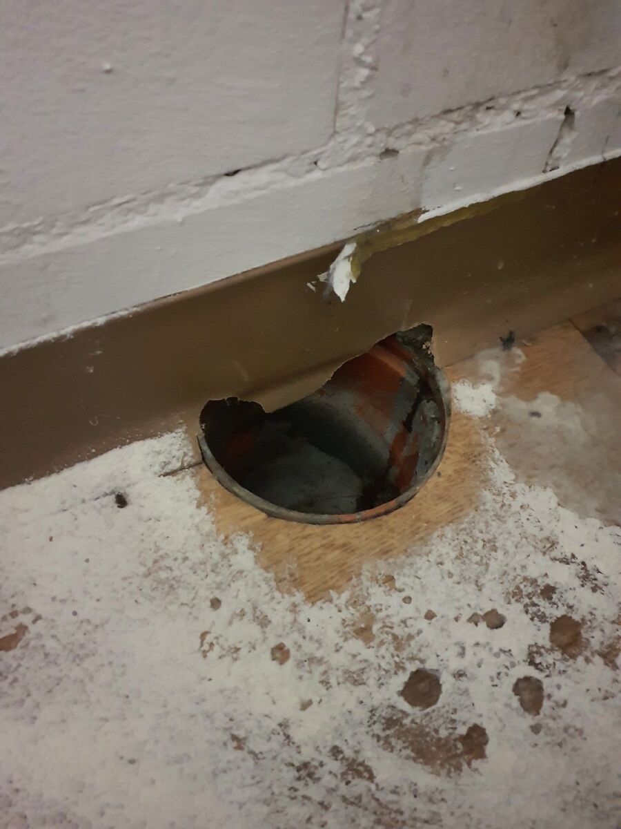 anti nuisibles a-Ried bei Kerzers-Beratung.jpg