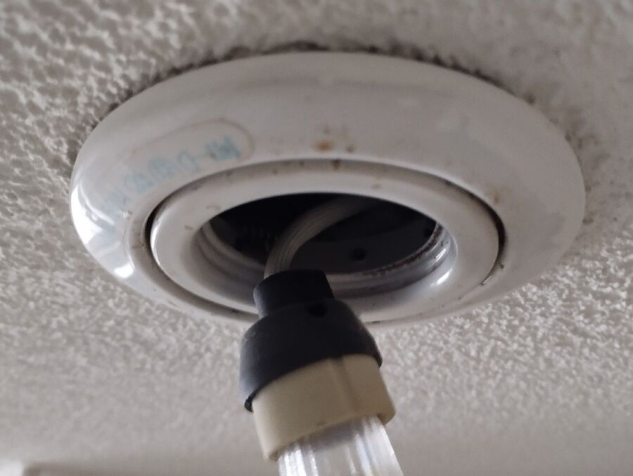 anti nuisibles a-Rue-Beratung.jpg