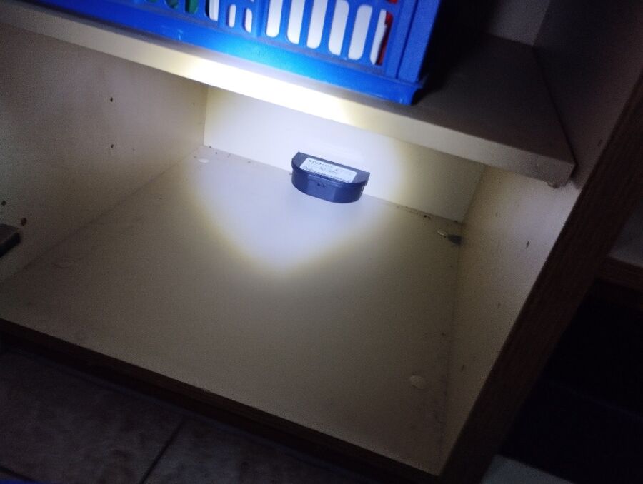 anti nuisibles a-Schmitten (FR)-Beratung.jpg