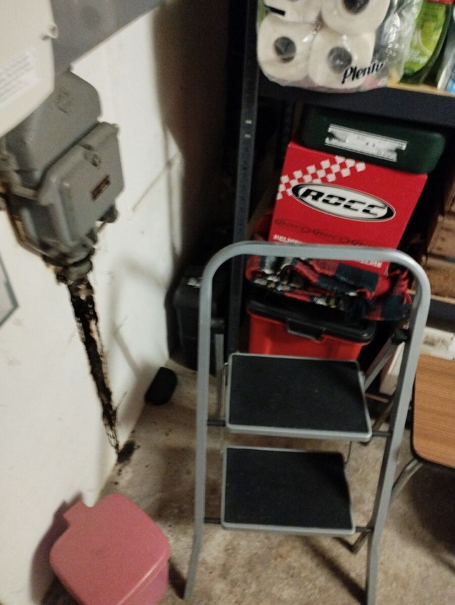 anti nuisibles a-Tolochenaz-Beratung.jpg