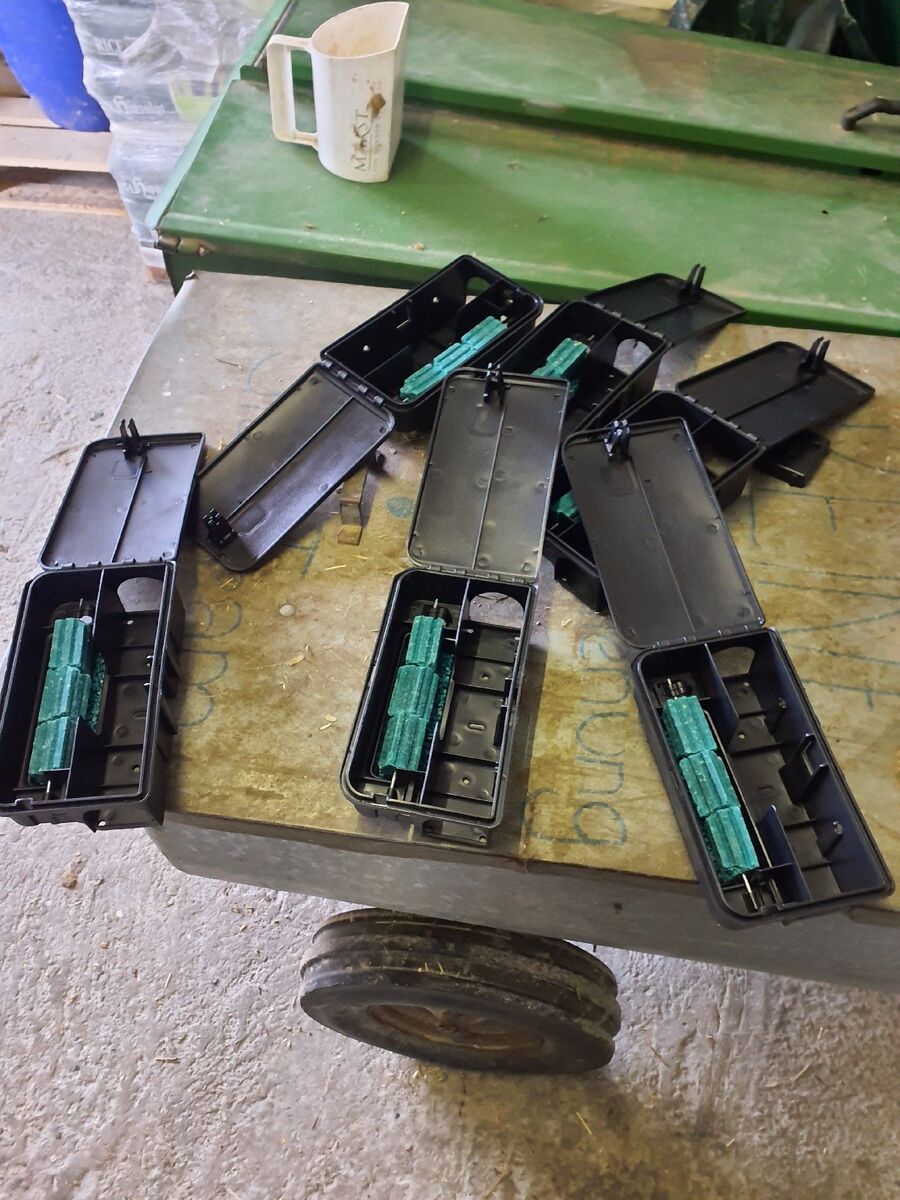 anti nuisibles a-Dardagny-Beratung.jpg